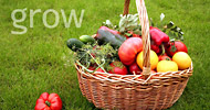 Grow your own food